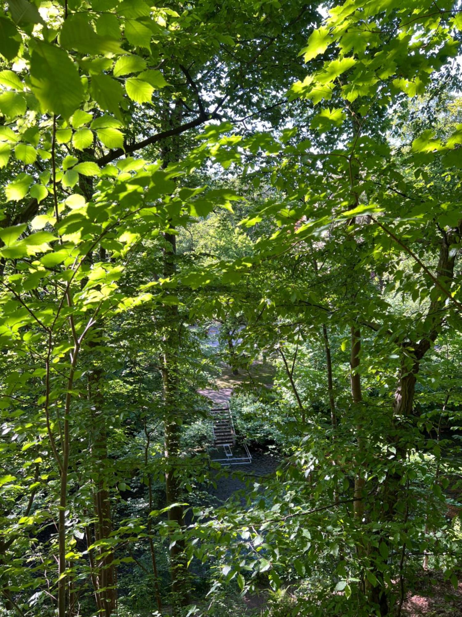Pangea Frühstückspension Bad Lauterberg im Harz