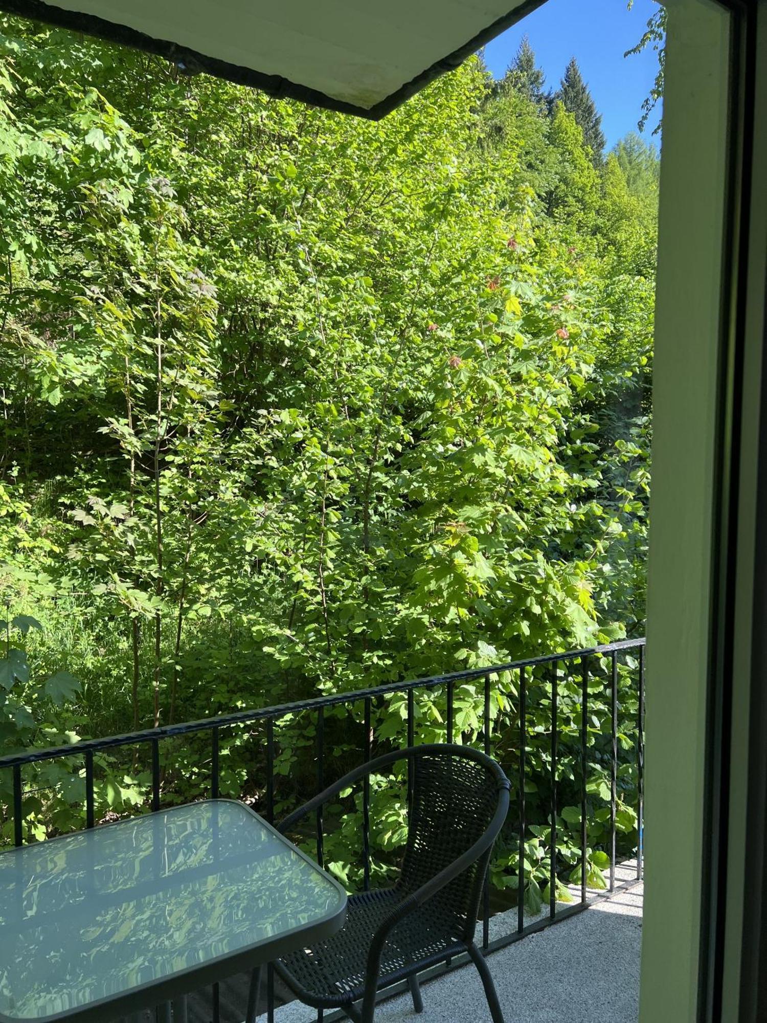 Pangea Frühstückspension Bad Lauterberg im Harz
